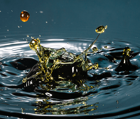FluidVerse-img